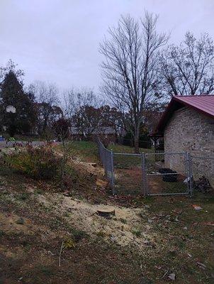 We removed the trees safely and cleaned up the mess. Our customer was happy to not have to worry about the tree falling on his house anymore