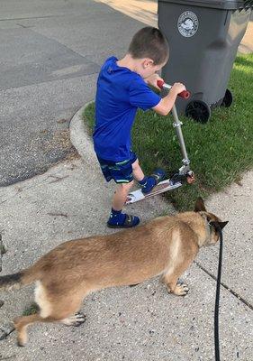 RJ & One of our Family Protection Dogs in training