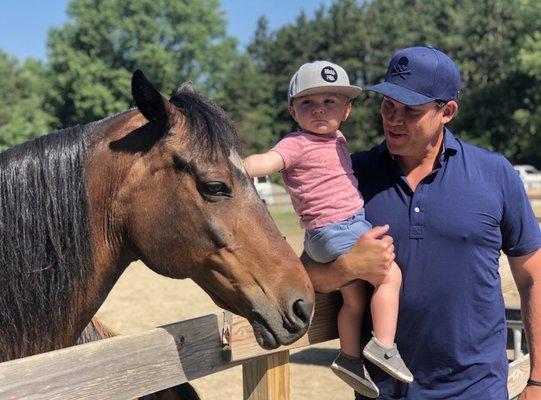 Petting some of the horses