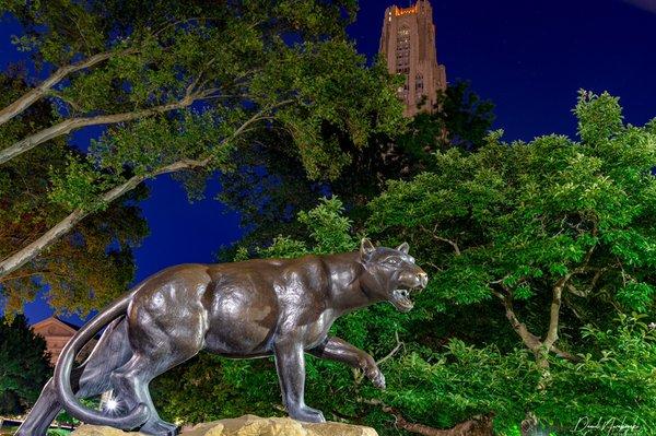 University of Pittsburgh Cathedral of Learning and Panther