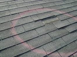 shingles that are damaged by wind need immediate attention