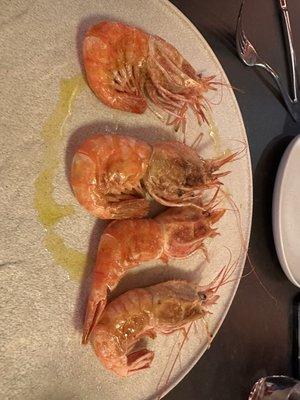 Super juicy massive prawns - must order