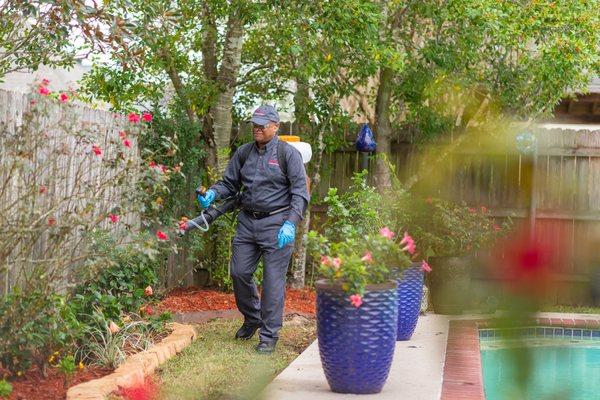 Our mosquito control methods will keep you and your family safe from mosquitoes year-round. 