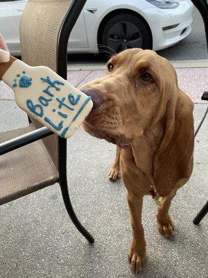 Cookie, which she devoured