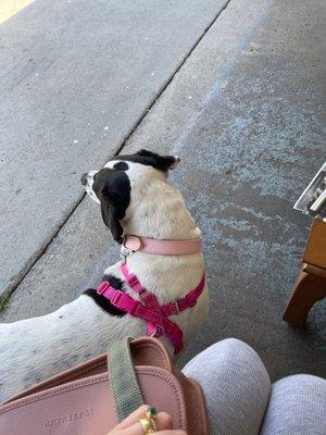 Waiting for my smog check with my baby girl :)