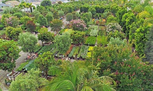 Overhead At Moon Valley Nurseries in Huntington Beach