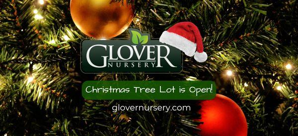 Glover Nursery