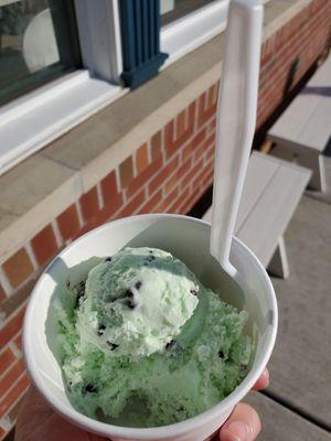 Mint Chocolate Chip