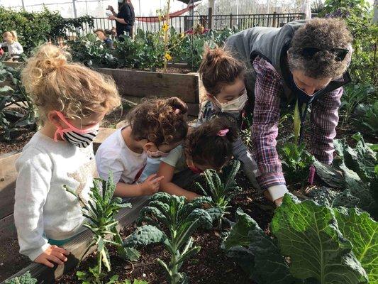 My daughter gardening with Teacher Debbie.