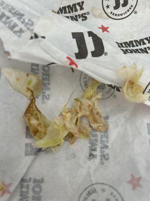 Jimmy John's