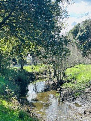 Discovered another branch of the Laguna today on a walk