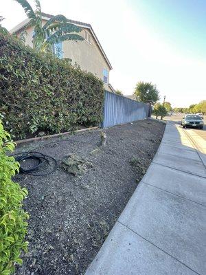 Pt.1 sod removal/prep