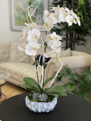 White Orchids