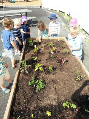 Our Threes class tending to their garden