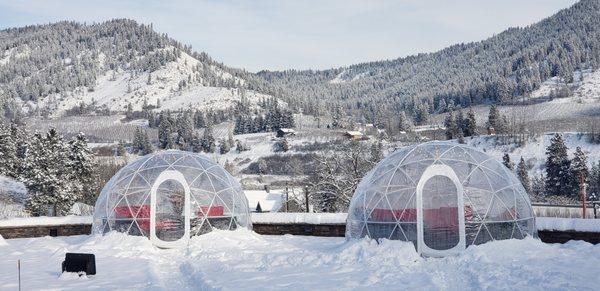 We offer a unique wine tasting experience in our igloos during the winter season.