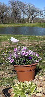 Ostrander Flowers & Greenhouses