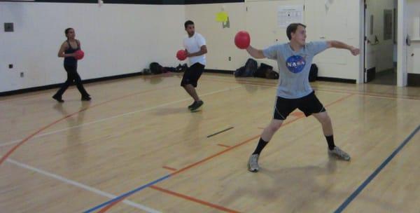 RAD League - Recreational Adult Dodgeball League