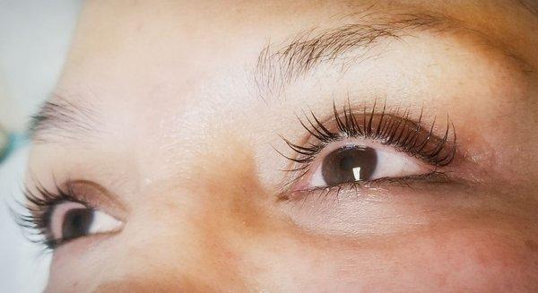 Lash Lift