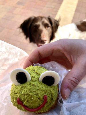 Frog cupcake for the birthday doggo