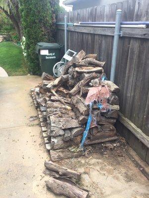 Before: Old wood pile with spiders, bugs and rats.