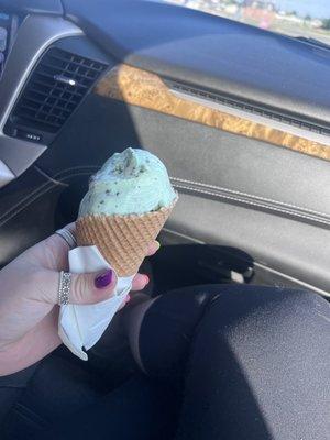 Mint Chocolate Chip Single Dip in a Waffle Cone