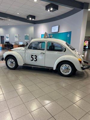 Herbie