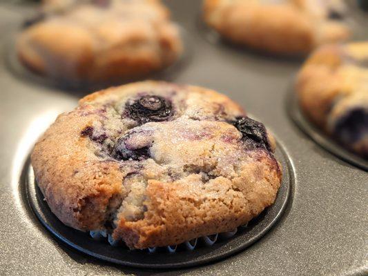 Gluten Free Blueberry Muffin