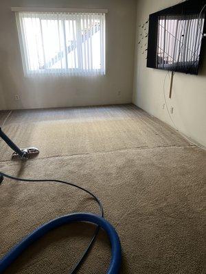 Carpet is refreshed, smells so clean, all stains lifted.