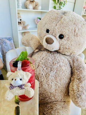 N cafe teddy bear