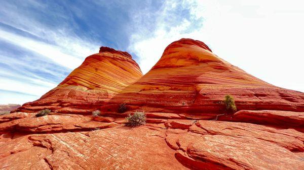 So cool formations