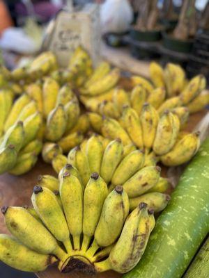 Vietnamese bananas