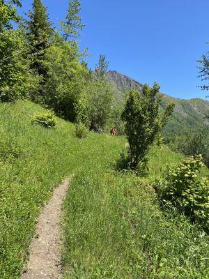 Coldwater Lake hike in June