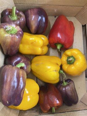 Different colors of peppers.