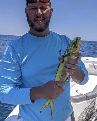 Mahi Mahi caught trolling Pensacola reef sites