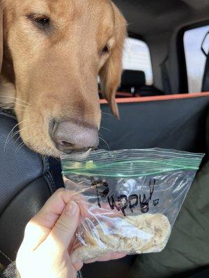 Piper loved the side of chicken!! Tasty treat for the road