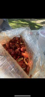 Crawfish