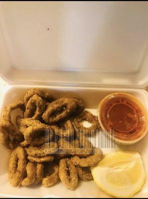 Fried Calamari