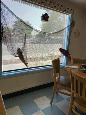 Picture of fish in window.