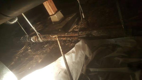 Part 1 we found a cracked residential cast iron main sewer line in the crawl space. This was causing backups.