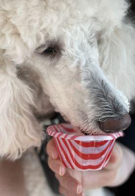 They even brought Nora a little scoop of gelato!