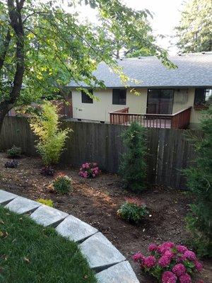 Plants below our retaining wall