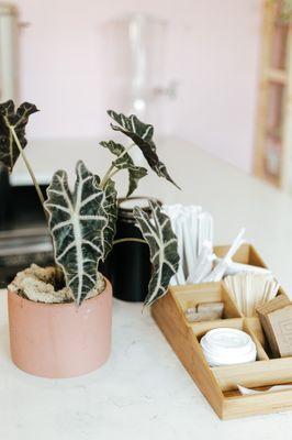 Natural flowers throughout our tea bar.