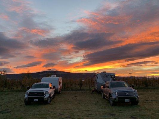 Sunrise over the pear orchard