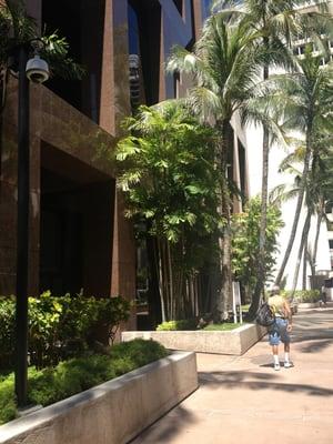 go up the walkway past Aloha Salads on Hotel Street into this doorway