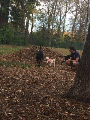 Schappacher Park Dog Run