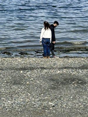 The entire beach is covered in rocks.