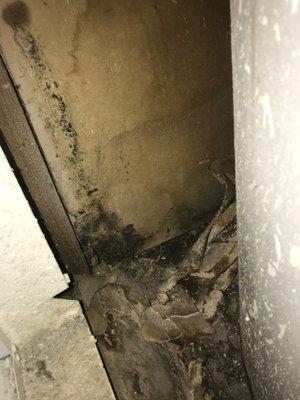 mold, mildew, and debris in my units water heater storage room