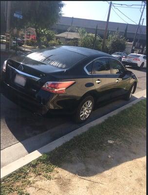 My Altima. Love the tint!