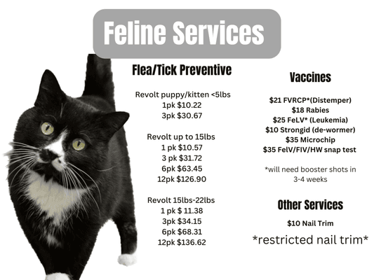 Feline services