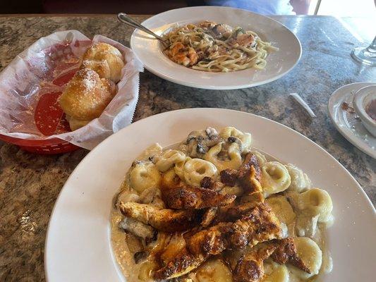 Garlic knots, Shrimp Scampi, and tortellini